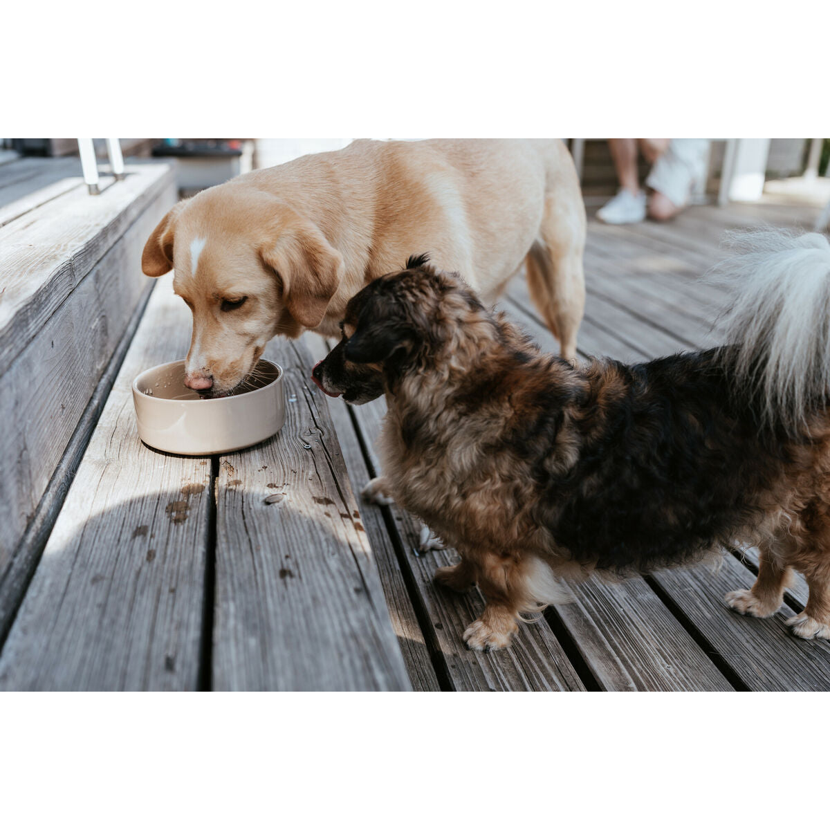 V3H7FACDC3E02F7EB60295741583A05D460R5587762P3